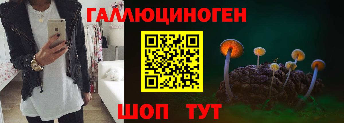 Галлюциногенные грибы мухоморы Куйбышев